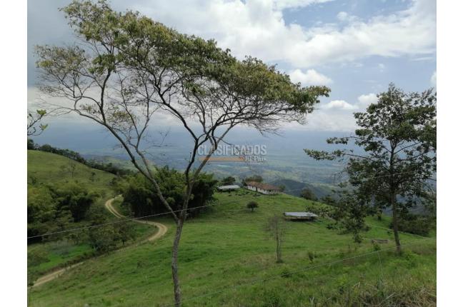 Fincas y Casas Campestres, Venta, San Pedro - $4.500.000.000