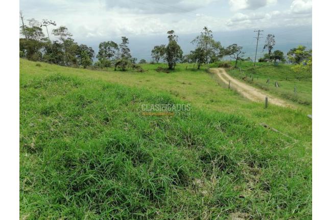 Fincas y Casas Campestres, Venta, San Pedro - $4.500.000.000