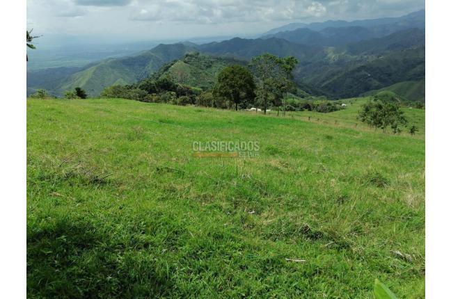 Fincas y Casas Campestres, Venta, San Pedro - $4.500.000.000