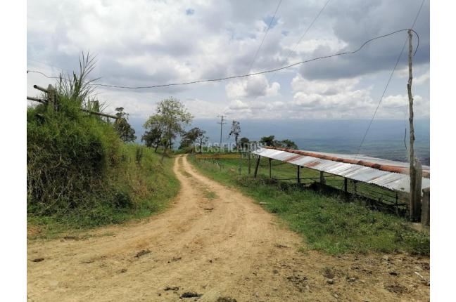 Fincas y Casas Campestres, Venta, San Pedro - $4.500.000.000