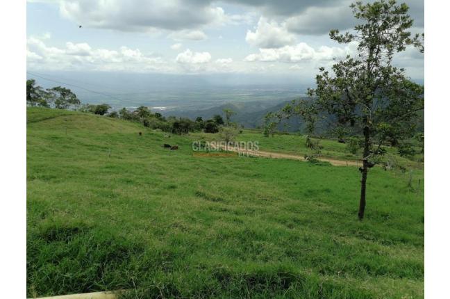 Fincas y Casas Campestres, Venta, San Pedro - $4.500.000.000