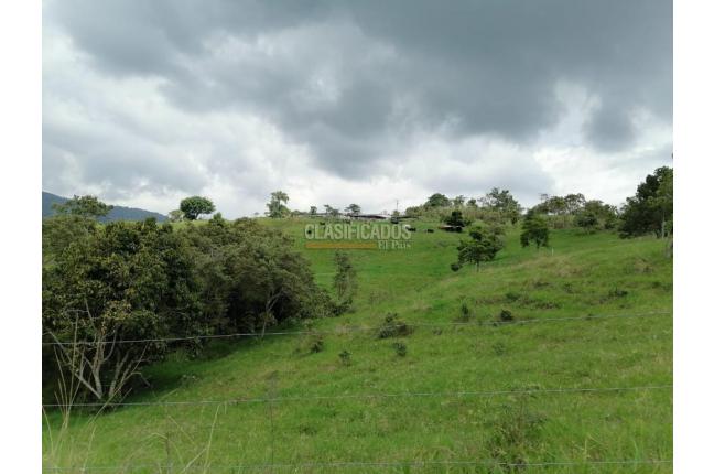 Fincas y Casas Campestres, Venta, San Pedro - $4.500.000.000