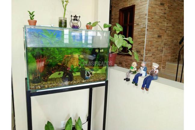 Casas, Venta, Talanga - $220.000.000