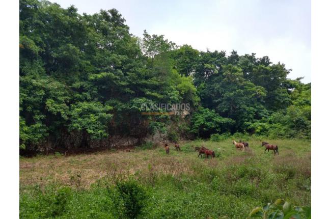 Lotes, Venta en San Andrés