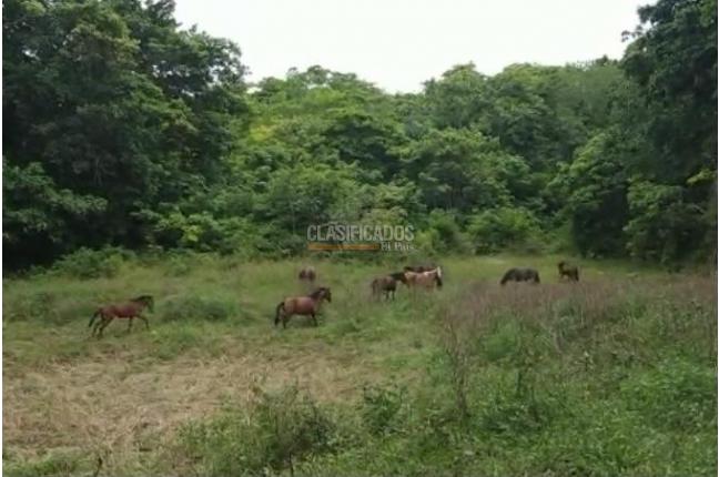 Lotes, Venta en San Andrés