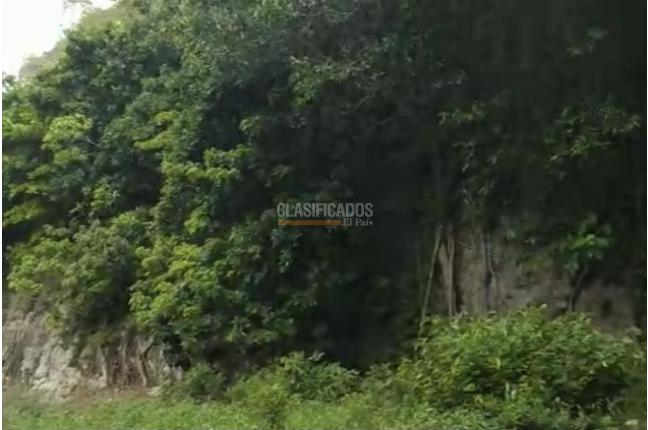 Lotes, Venta, San Andrés - $1.800.000.000