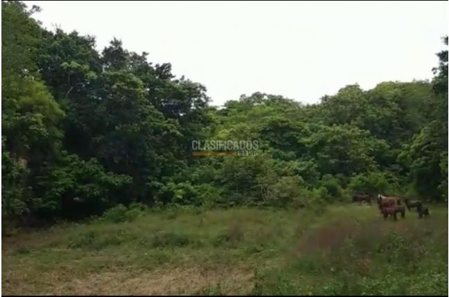 Lotes, Venta, San Andrés - $1.800.000.000