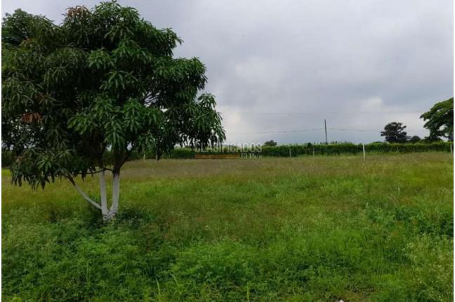 Lotes, Venta, El Cerrito - $180.000.000