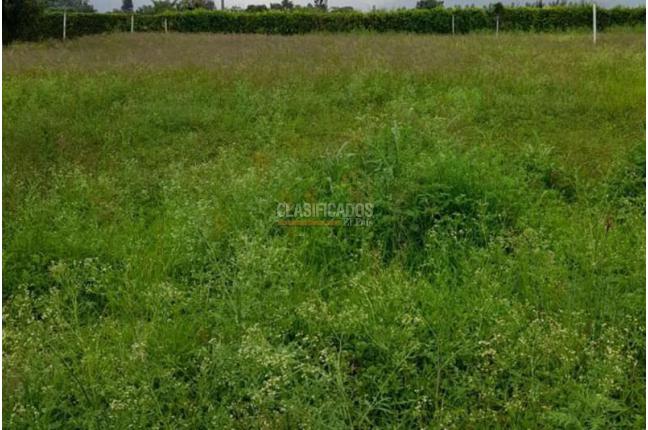 Lotes, Venta, El Cerrito - $180.000.000