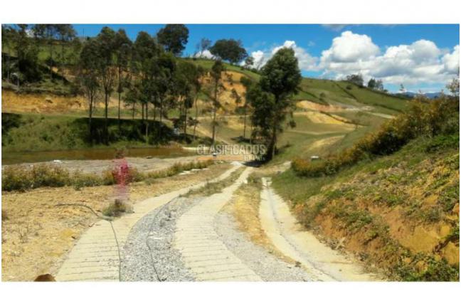 Lotes, Venta, Carmen de Viboral - $491.385.600