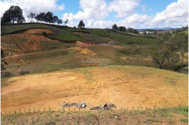 Lotes, Venta, Carmen de Viboral - $484.139.200