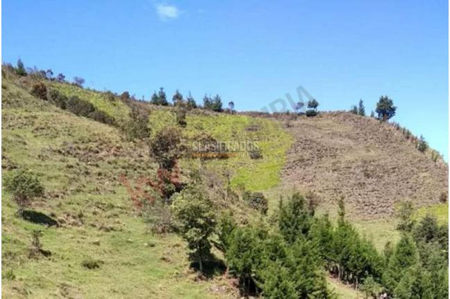 Lotes, Venta, Copacabana - $1.000.000.000