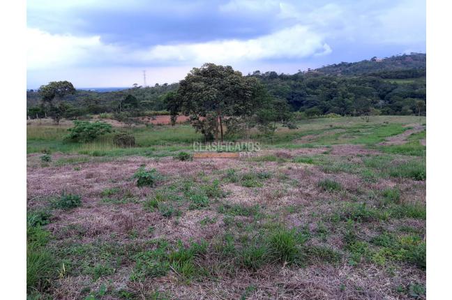 Lotes, Venta, Pance - $890.000.000