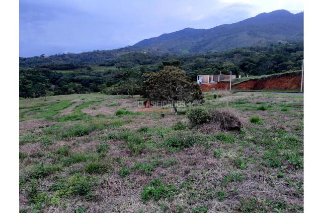 Lotes, Venta, Pance - $890.000.000