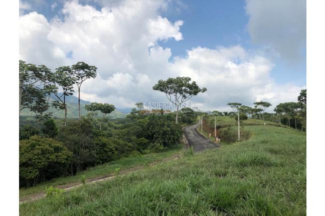 Lotes, Venta, Pance - $1.200.000.000