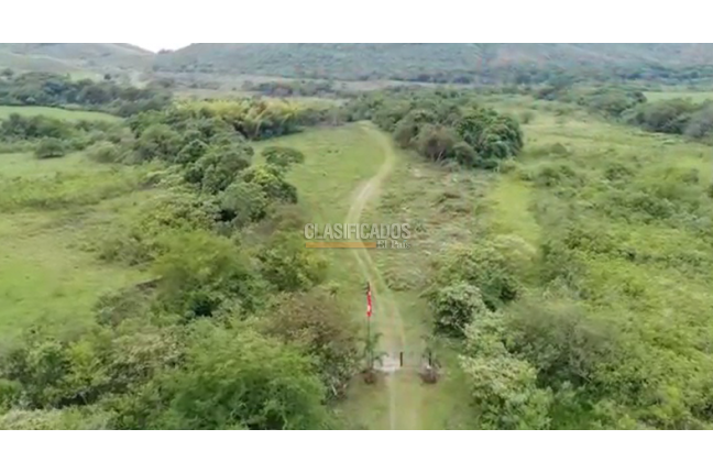 Lotes, Venta en Palmira