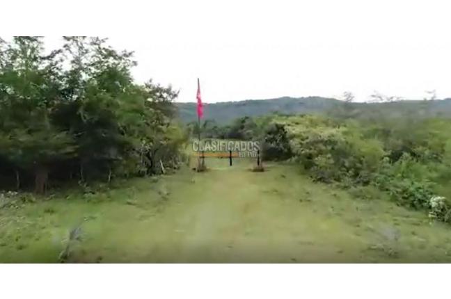 Lotes, Venta, Palmira - $1.345.000.000