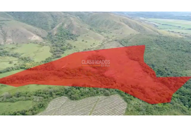 Lotes, Venta, Palmira - $1.345.000.000