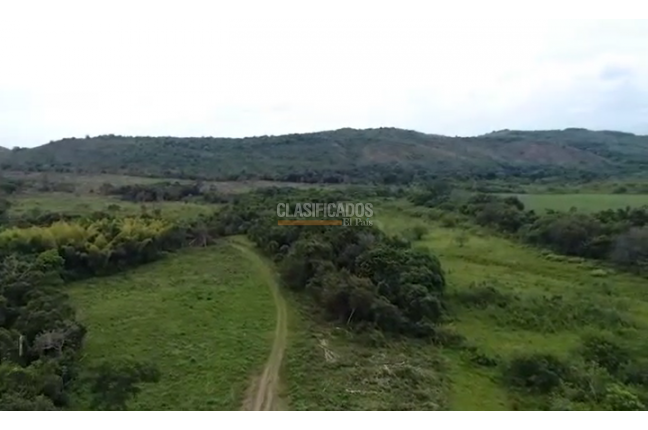 Lotes, Venta, Palmira - $1.345.000.000