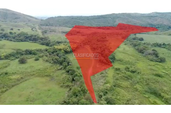 Lotes, Venta, Palmira - $1.345.000.000