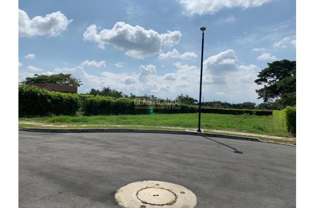 Lotes, Venta en Palmira