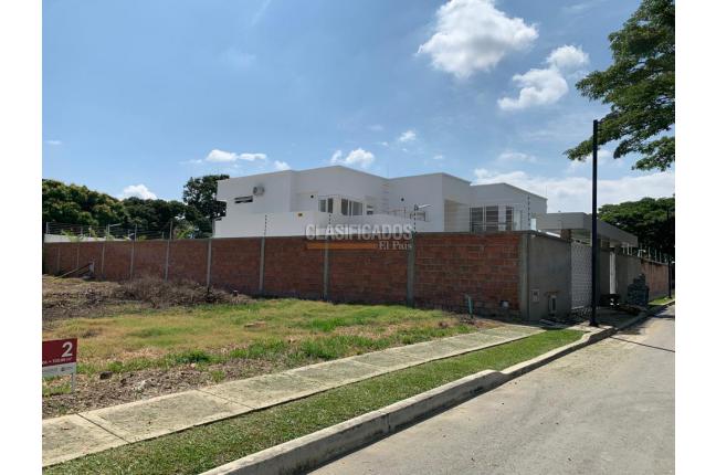 Lotes, Venta en Palmira