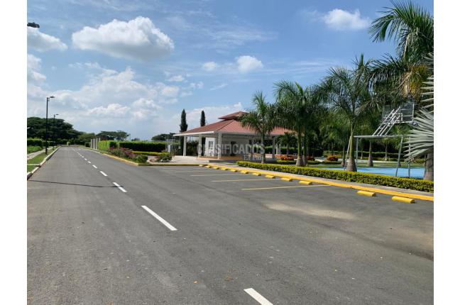 Lotes, Venta en Palmira