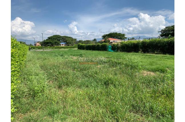 Lotes, Venta, Palmira - $250.000.000