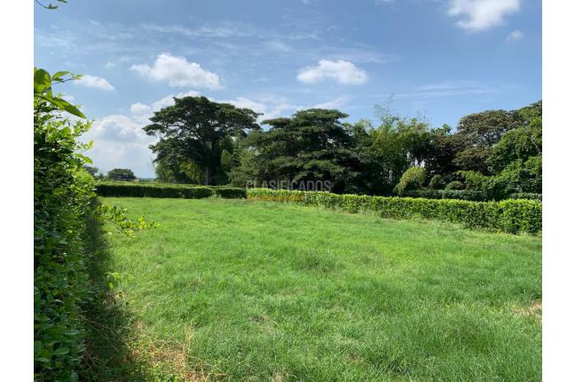 Lotes, Venta, Palmira - $250.000.000