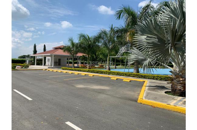 Lotes, Venta, Palmira - $250.000.000