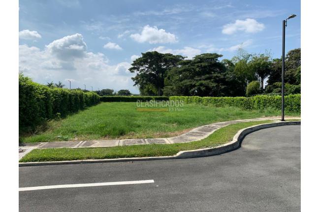 Lotes, Venta, Palmira - $250.000.000