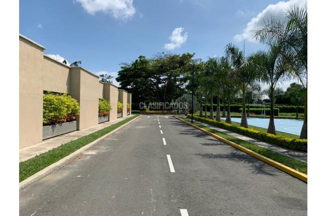 Lotes, Venta, Palmira - $250.000.000