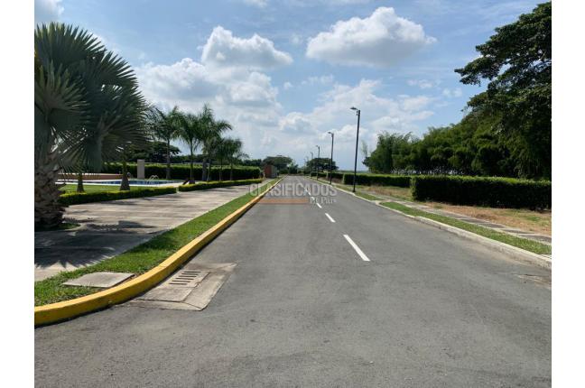 Lotes, Venta, Palmira - $250.000.000