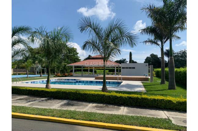 Lotes, Venta, Palmira - $250.000.000