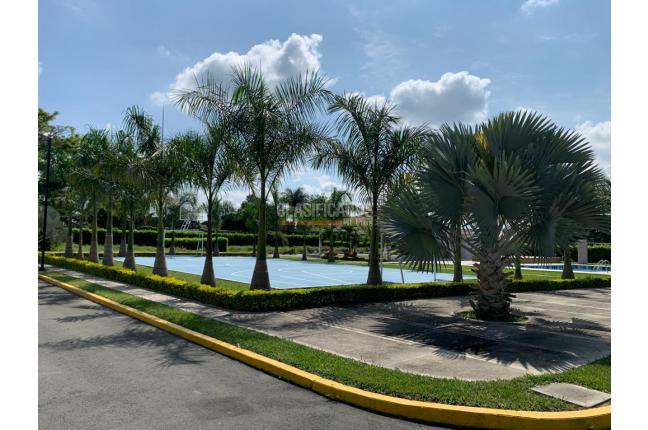 Lotes, Venta, Palmira - $250.000.000