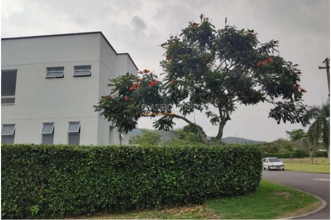 Fincas y Casas Campestres, Venta en Jamundí