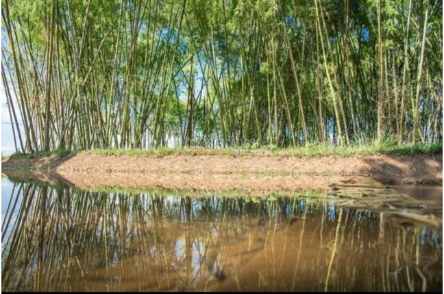 Lotes, Venta, Jamundí - $115.000.000