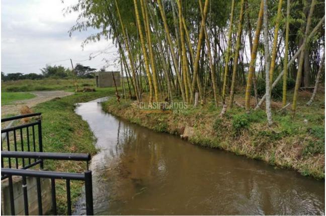 Lotes, Venta, Jamundí - $115.000.000