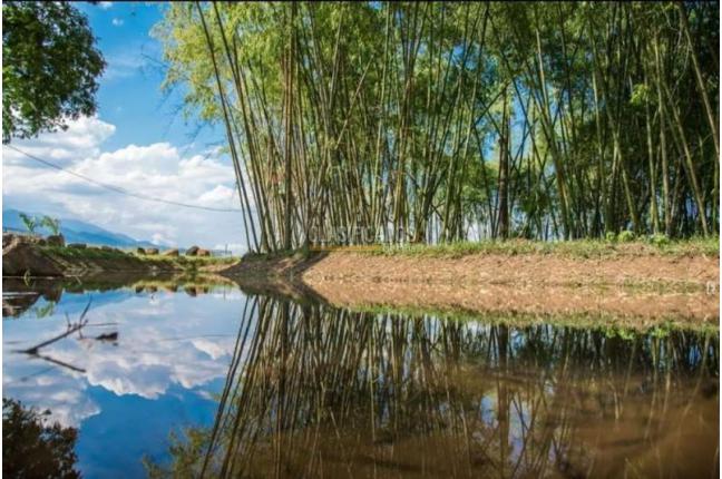 Lotes, Venta, Jamundí - $115.000.000