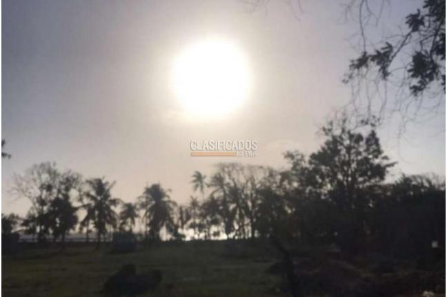 Lotes, Venta, San Andrés - $320.000.000