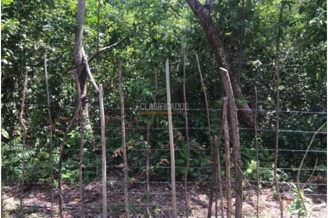 Lotes, Venta, San Andrés - $320.000.000