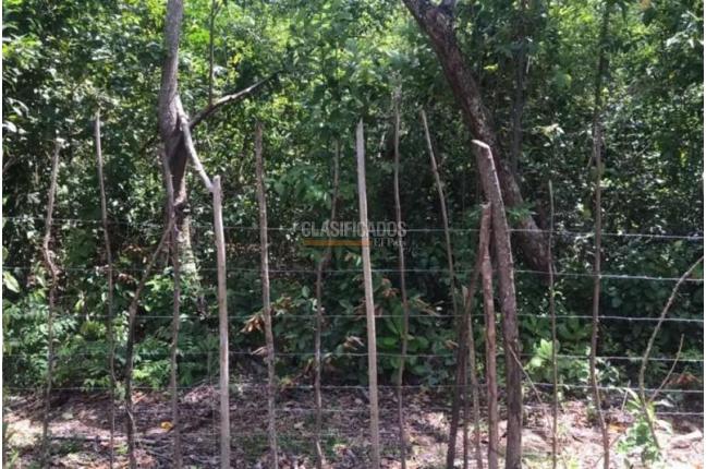 Lotes, Venta, San Andrés - $320.000.000