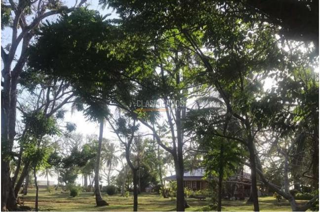 Lotes, Venta, San Andrés - $320.000.000