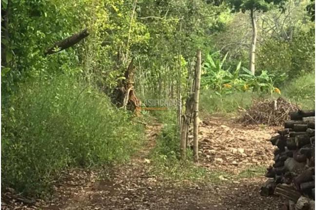 Lotes, Venta, San Andrés - $320.000.000