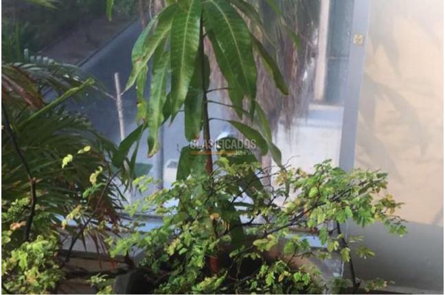 Apartamentos, Venta, Cartagena - $3.100.000.000