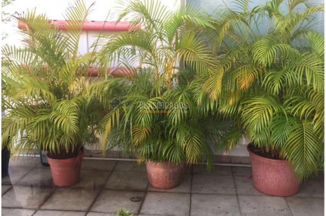 Apartamentos, Venta, Cartagena - $3.100.000.000