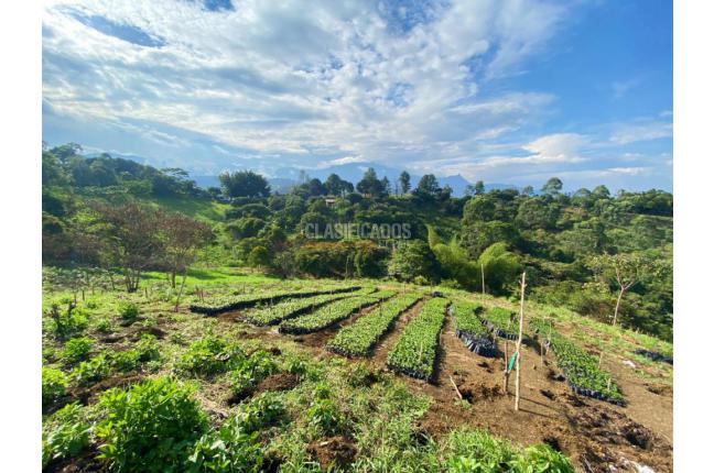 Fincas y Casas Campestres, Venta en Jamundí