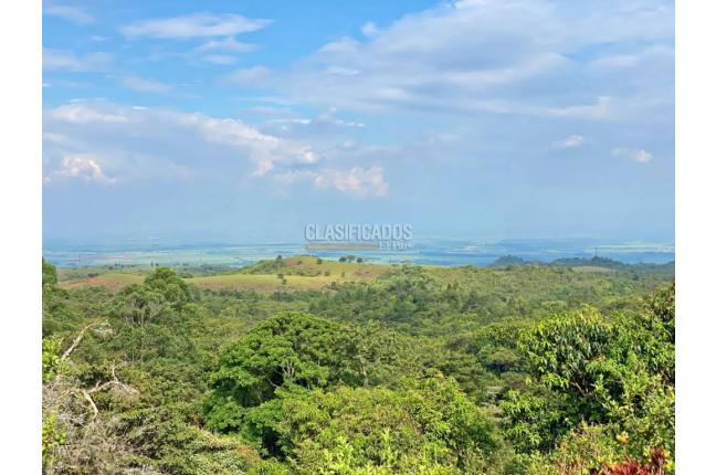 Fincas y Casas Campestres, Venta, Jamundí - $680.000.000