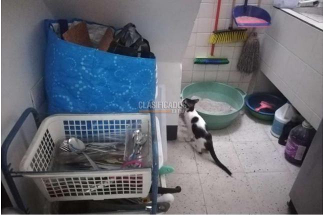 Casas, Venta, San Antonio - $400.000.000