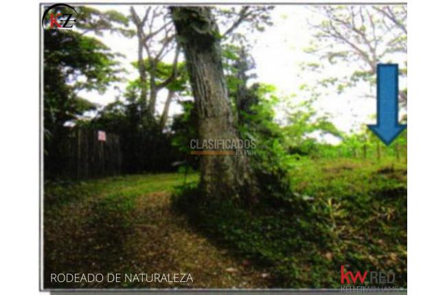 Lotes, Venta, El Hormiguero - $940.000.000